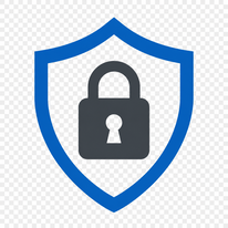 Secure Professional Icon